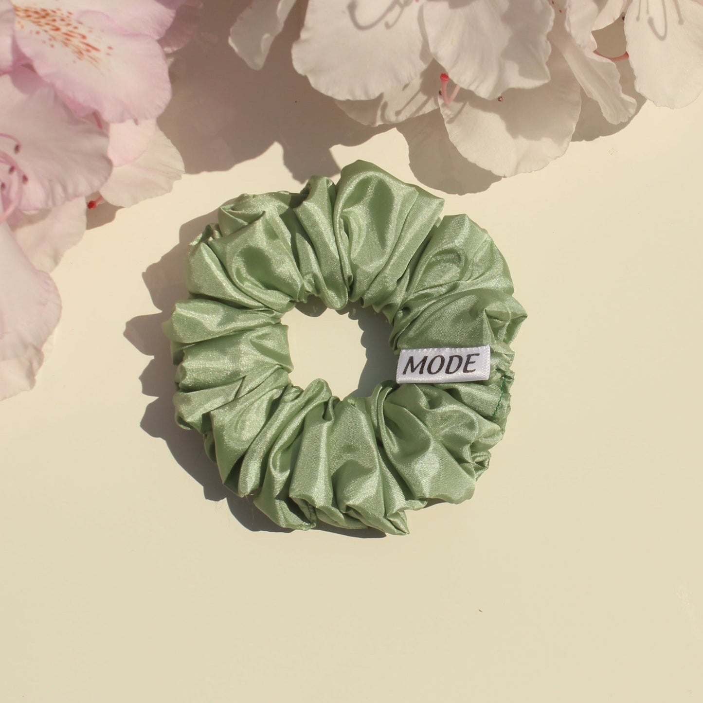 Envy Zinnia